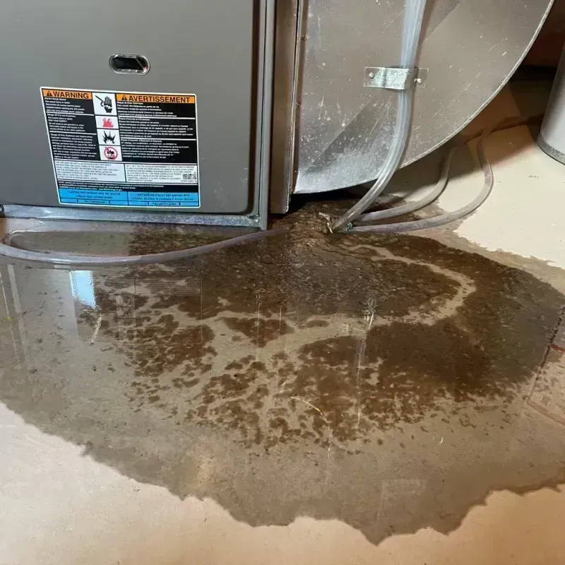 Appliance Leak Cleanup in Welby, CO